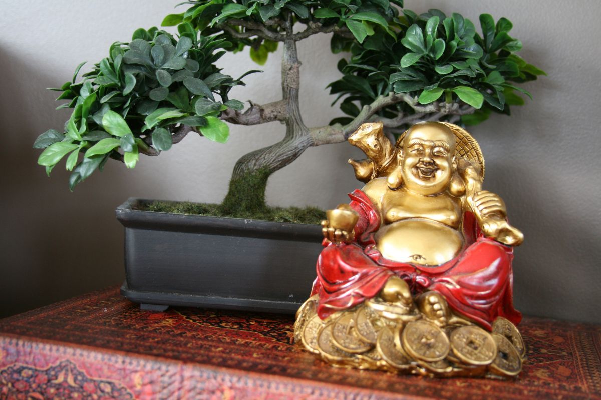 Fengshui Tips : फेंगशुईच्या या 10 वस्तू आहेत खूप फायदेशीर, घर-ऑफिसमध्ये ठेवल्याने वाढते संपत्ती
