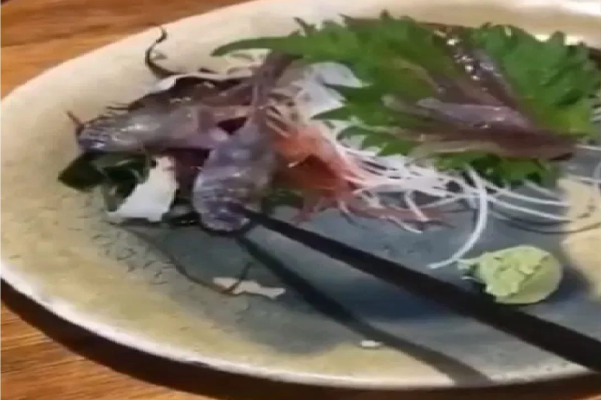 जेवणाच्या ताटातील मासा जिवंत झाला.