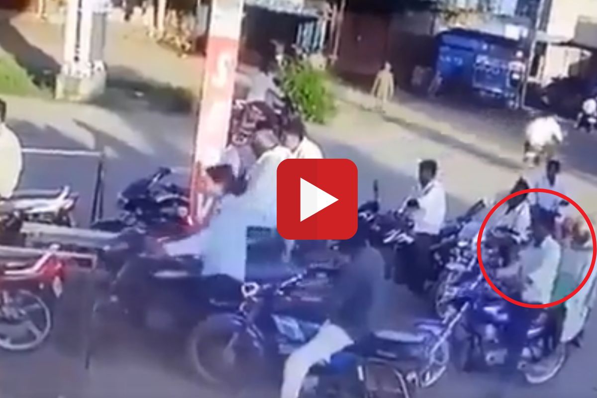 व्हायरल व्हिडीओ