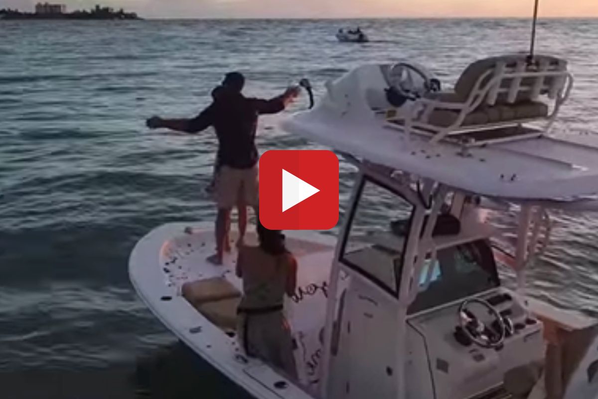 व्हिडीओ व्हायरल