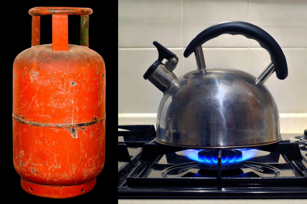 प्रतिकात्मक फोटो