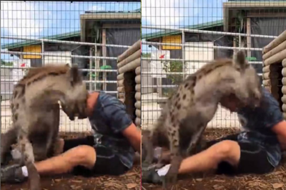 खतरनाक प्राण्यासमोर गेला तरुण.