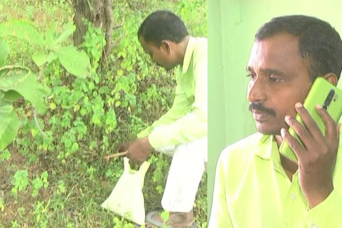 तेलंगणातील 'या' व्यक्तीनं केली दोन लाख वृक्षांची लागवड; पर्यावरण संरक्षणासाठी समर्पित केलं आयुष्य