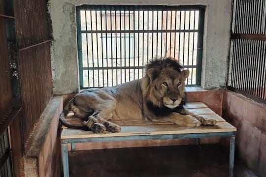 जेस्पा 