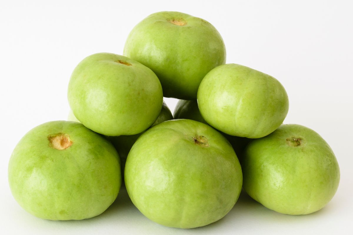 नावावर जाऊ नका, खूप फायद्याचे असतात ढेमसे; Weight Loss पासून BP पर्यंत अनेक समस्या करतं दूर