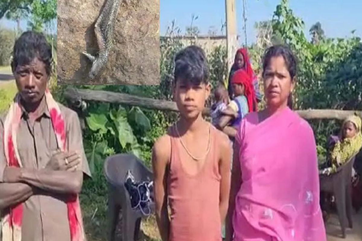 मुलानं घेतला नागाचा चावा