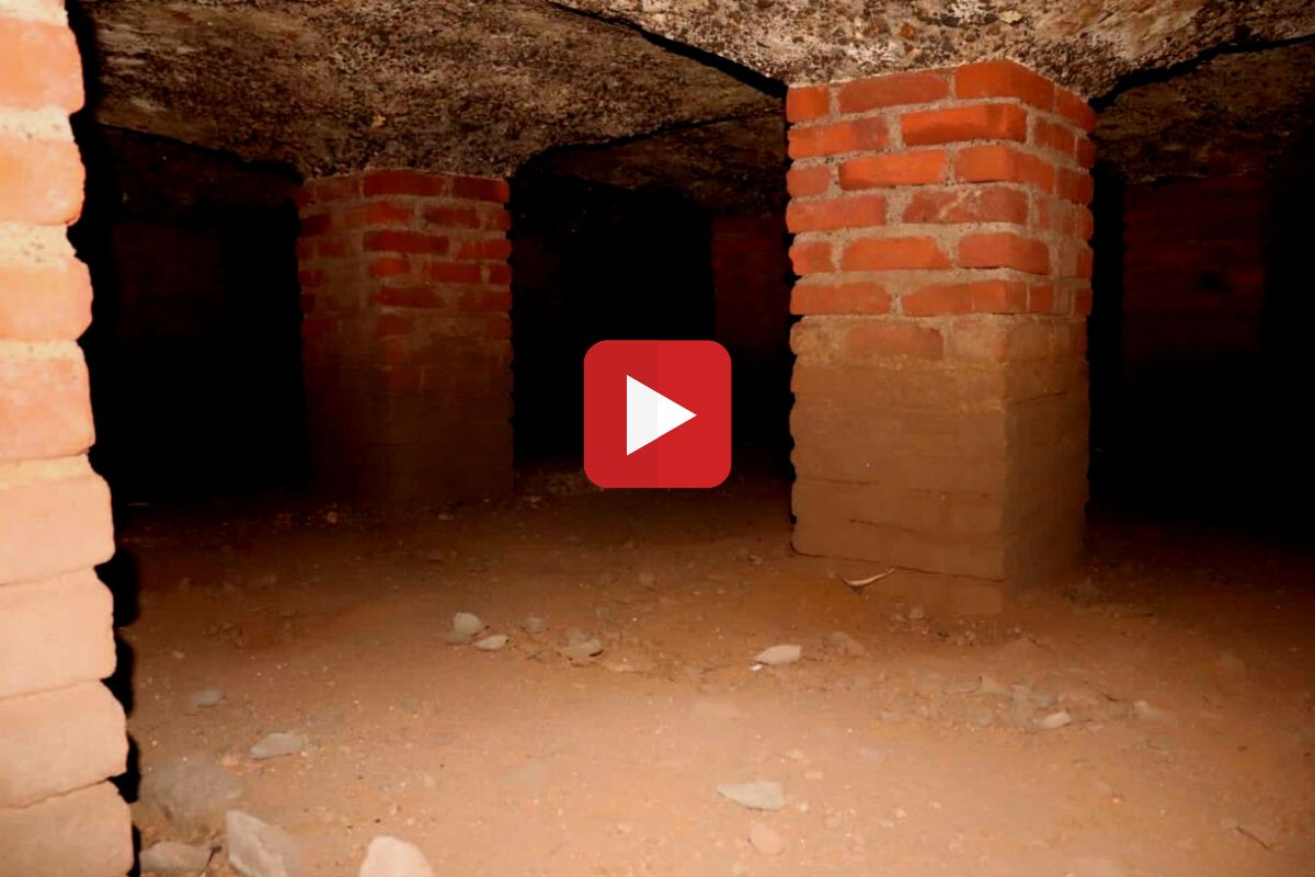 व्हायरल फोटो