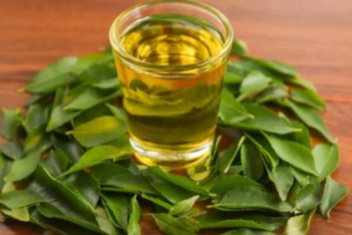 कढीपत्त्याचा चहा पिण्याचे फायदे