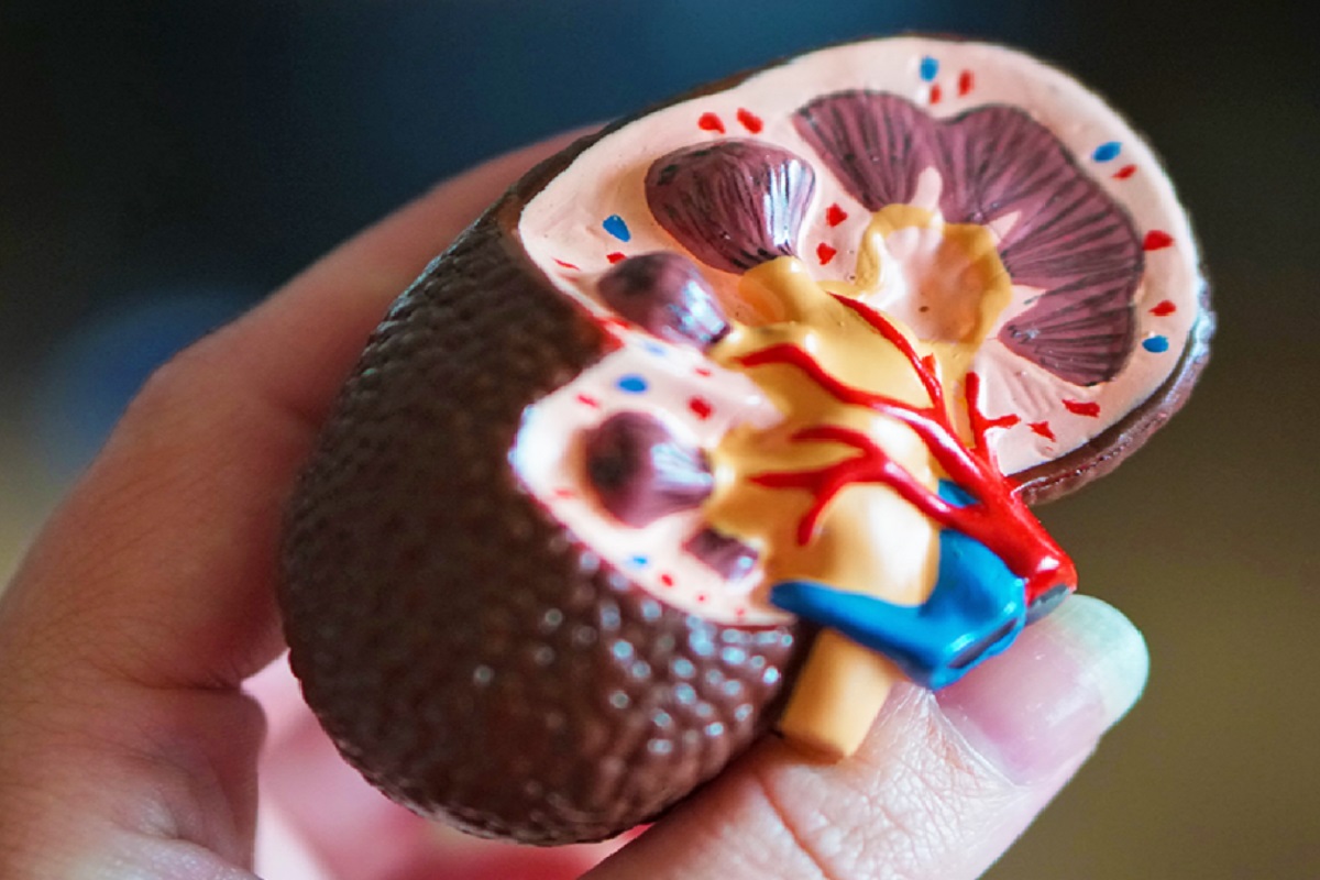 किडनी विकार