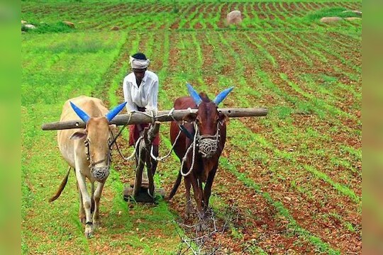 PM Kisan Samman Nidhi:  'या' चुका केल्या तर खात्यात येणार नाहीत पैसे, केंद्र सरकारचा शेतकऱ्यांना इशारा