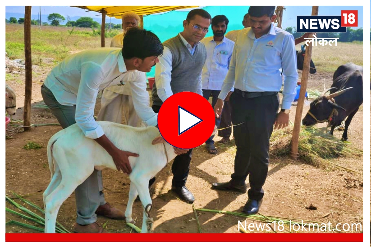 Video : तरुणानं उभारलं देशातील पहिलं जनावरांचं क्वारंटाईन सेंटर, लम्पीवर देतोय मोफत उपचार