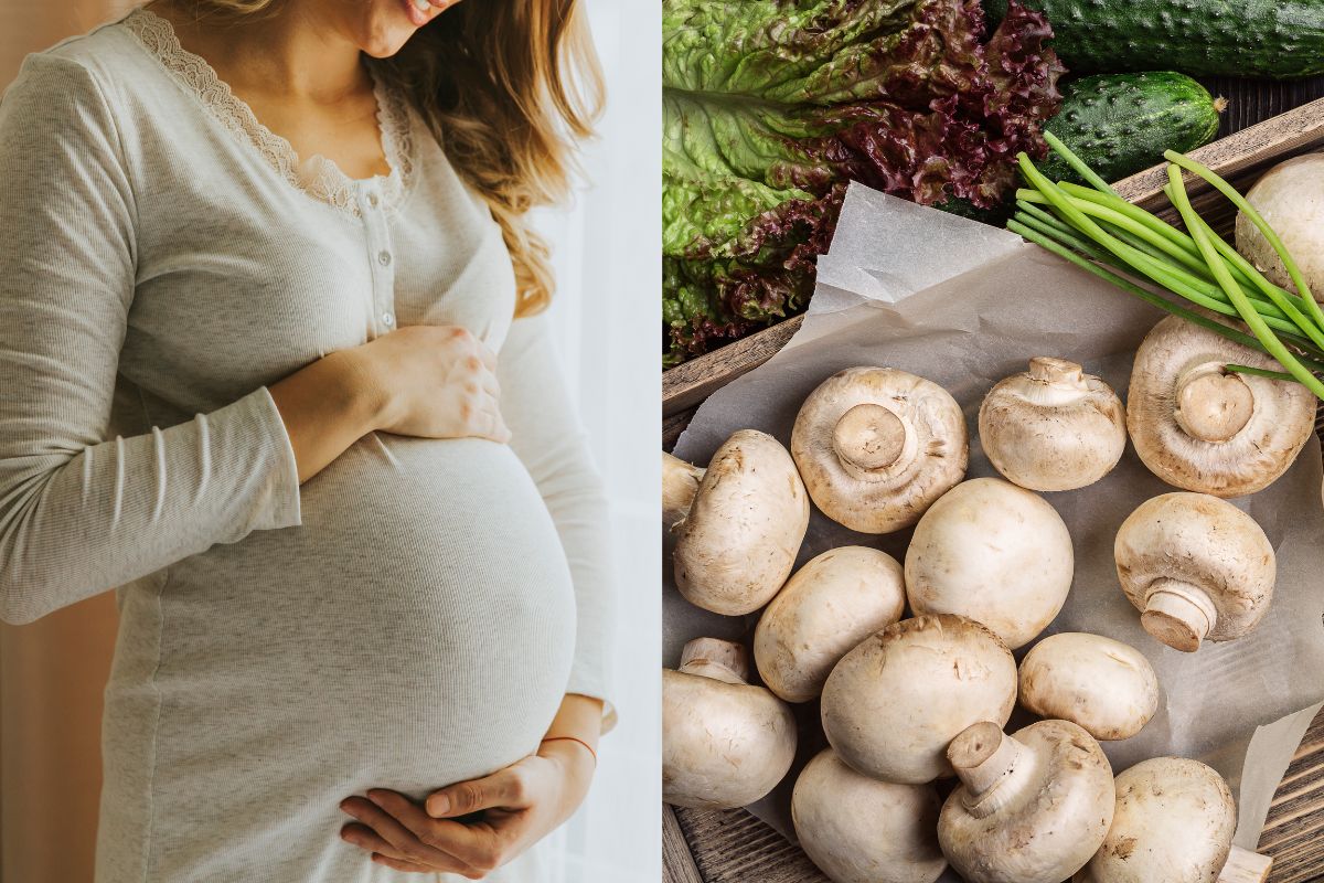 Mushroom In Pregnancy : प्रेग्नन्सीमध्ये मशरूम खाणं सुरक्षित आहे का? वाचा तज्ज्ञांचा सल्ला