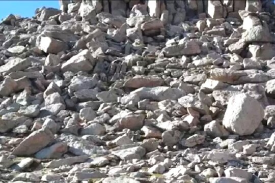 व्हायरल फोटो