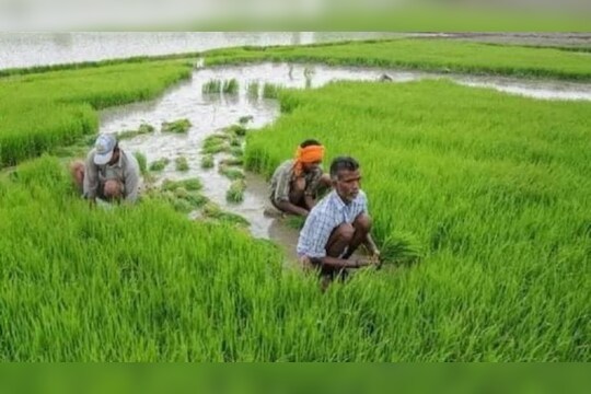 PM Kisan Samman Nidhi: अरे देवा! 'या' शेतकऱ्यांना सरकारला परत करावे लागणार पैसे