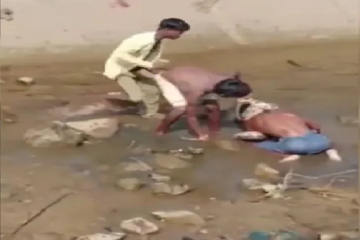 मासेमारी करताना हाताला लागला अजगर.