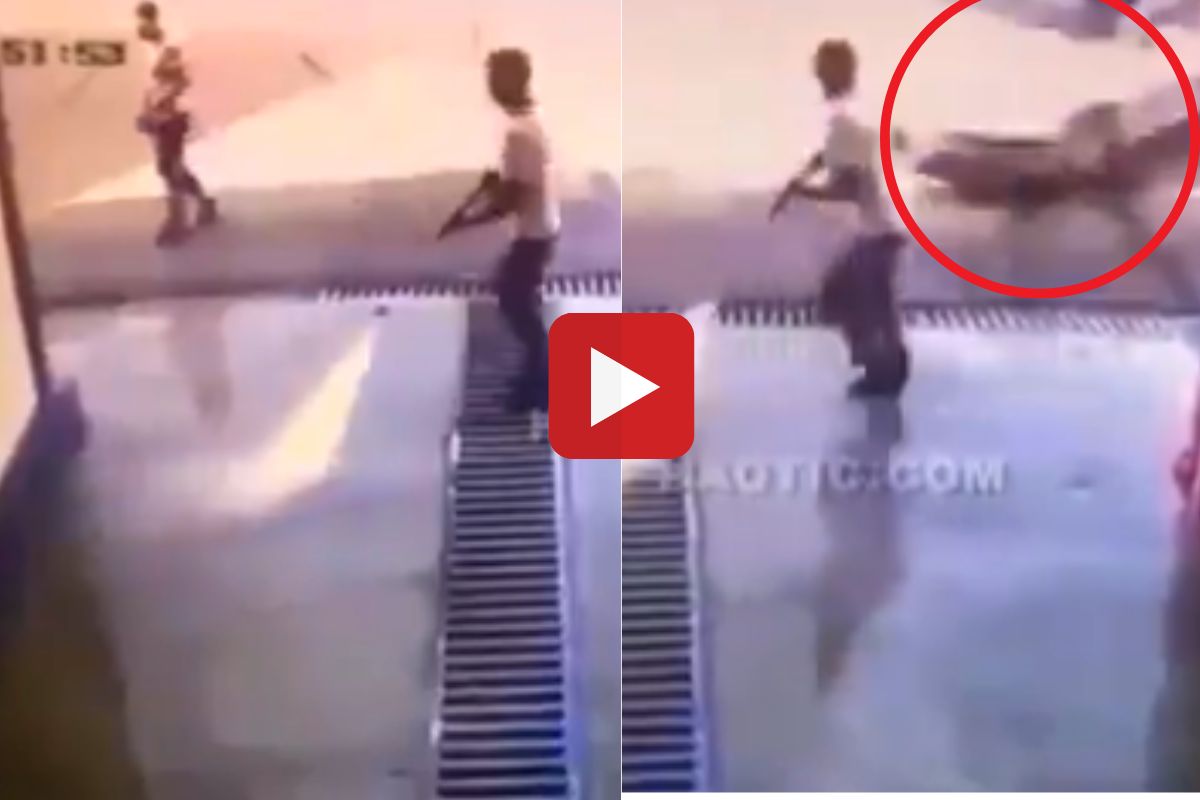 व्हायरल व्हिडीओ