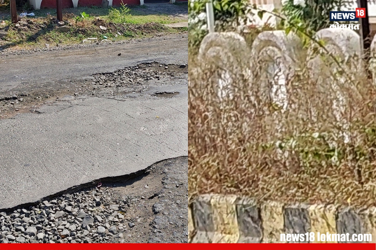 Wardha : रस्त्यात खड्डे आणि दुभाजकात रानटी गवत, मुख्य रस्ता बनला घातक!