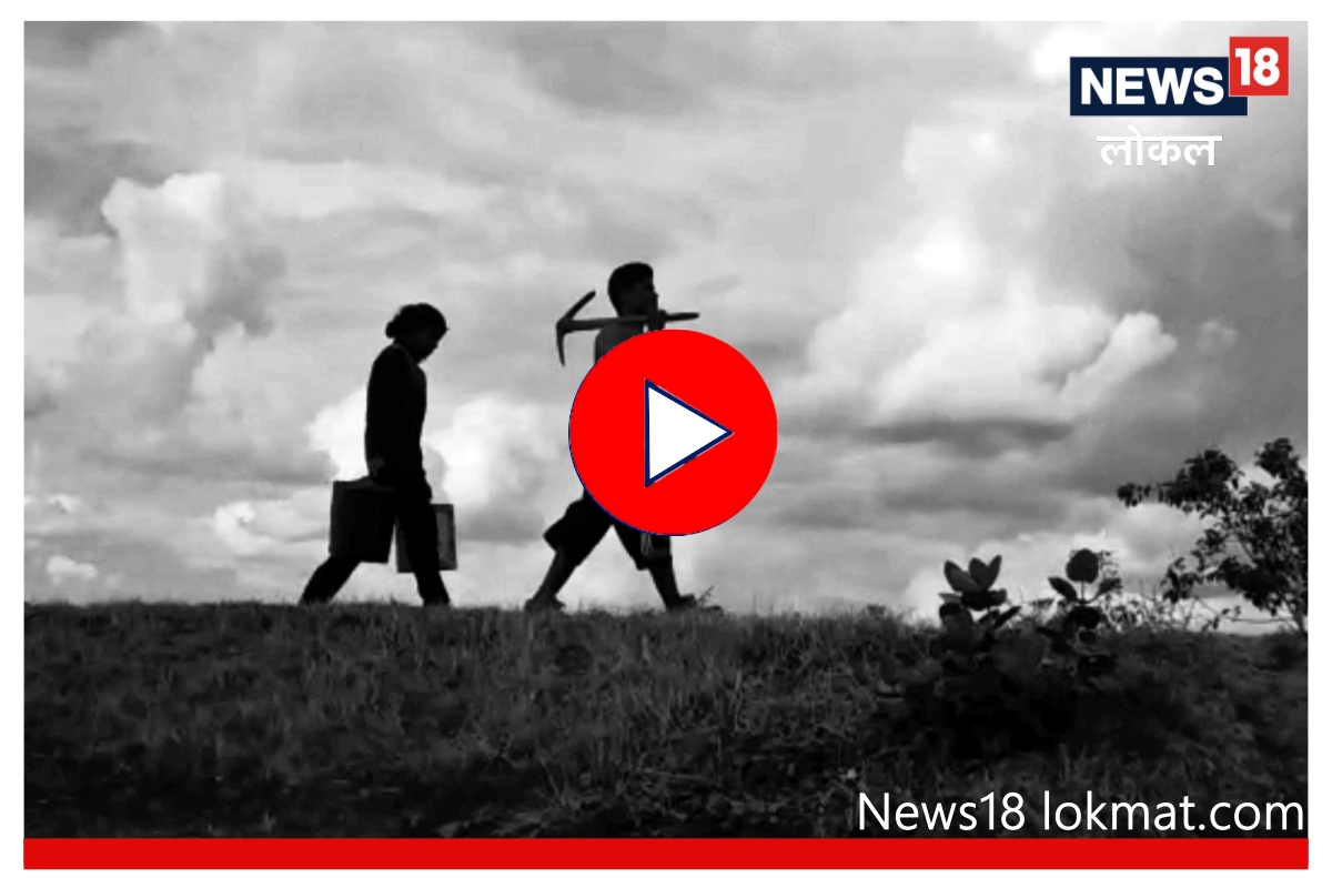 Satara : दुष्काळी भागातील भावंडांची कमाल, 5 वर्षांमध्ये माळरानावर फुलवली वनराई! पाहा Video