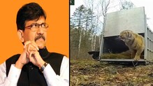 संजय राऊतांना जामीन पण रोहित पवारांच्या ट्वीटची चर्चा, व्हिडीओत असे आहे तरी काय? संजय राऊतांना जामीन पण रोहित पवारांच्या ट्वीटची चर्चा, व्हिडीओत असे आहे तरी काय?
