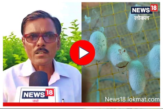 Wardha : पारंपारिक शेतीला फाटा देत रेशीमधून मिळवलं लाखोंच उत्पन्न, पाहा Video