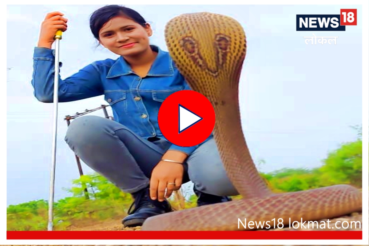 भल्या मोठ्या सापांना सहज पकडणारी सर्पमैत्रीण! पाहा कसं करते ती काम, Video