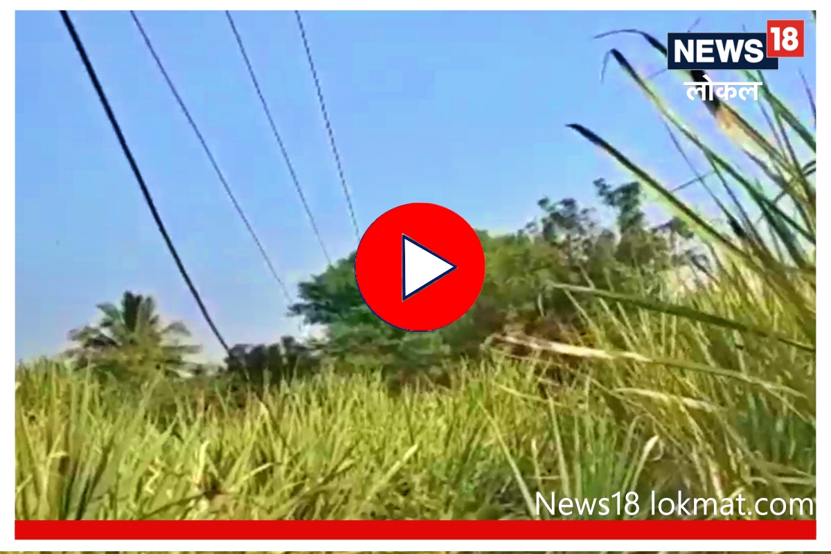 Video : ‘ठिणगी पडताच होत्याच नव्हतं होईल’, धोकादायक तारांमुळे शेतकऱ्यांचा जीव टांगणीला