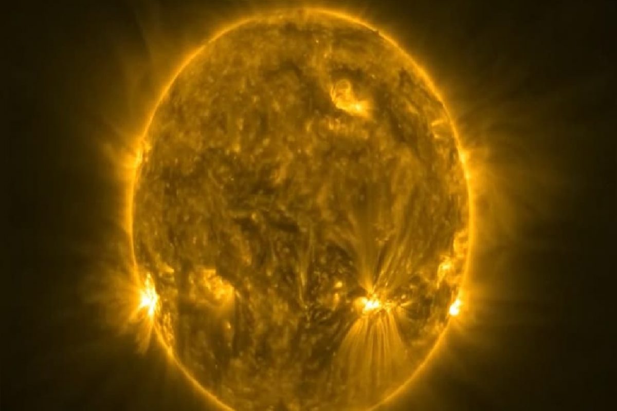 सूर्यामध्ये साप.