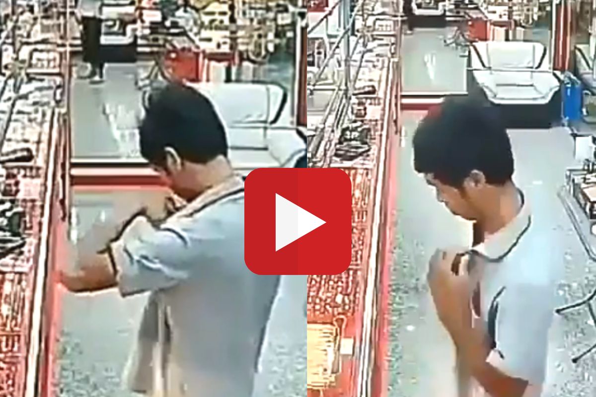 व्हायरल व्हिडीओ