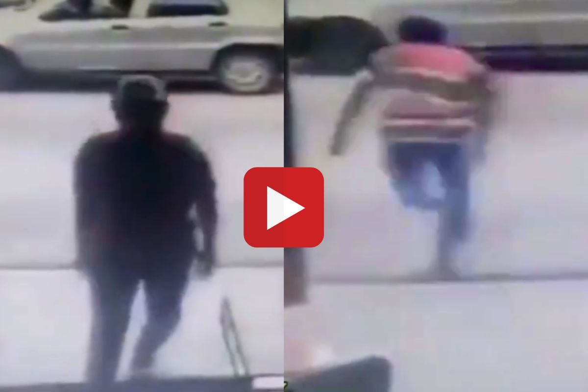 व्हायरल व्हिडीओ