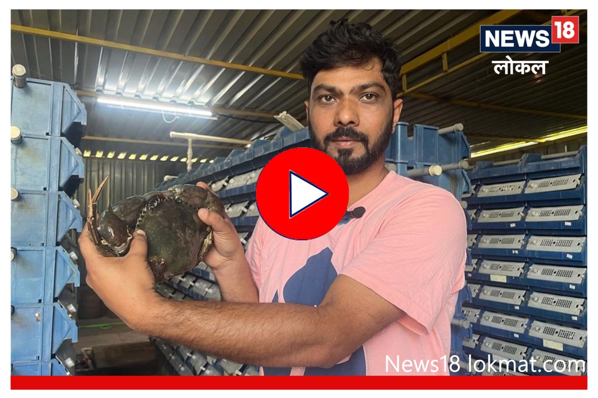 नोकरी सोडून सुरु केली खेकड्यांची शेती, आता करतोय लाखोंची कमाई! Video