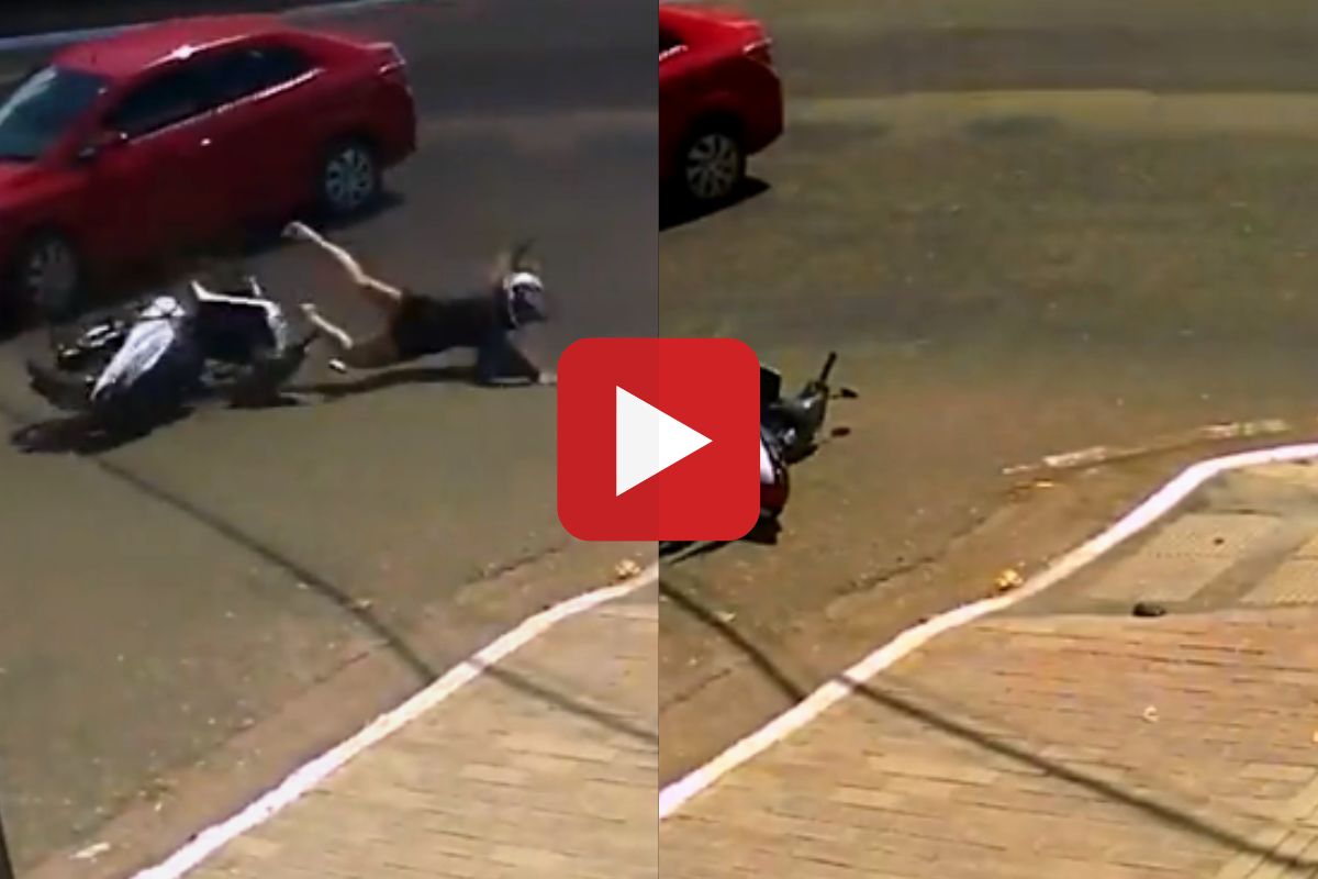 व्हायरल व्हिडीओ