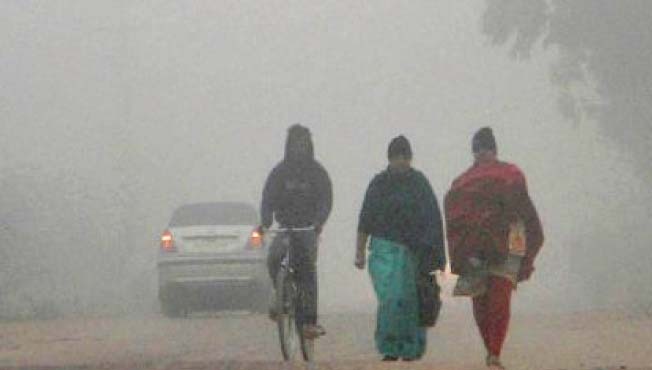 Weather Forecast : राज्याचा पारा आणखी घसरला, पुणे झालं 'उणे 10', सर्वात जास्त थंडी कुठे?