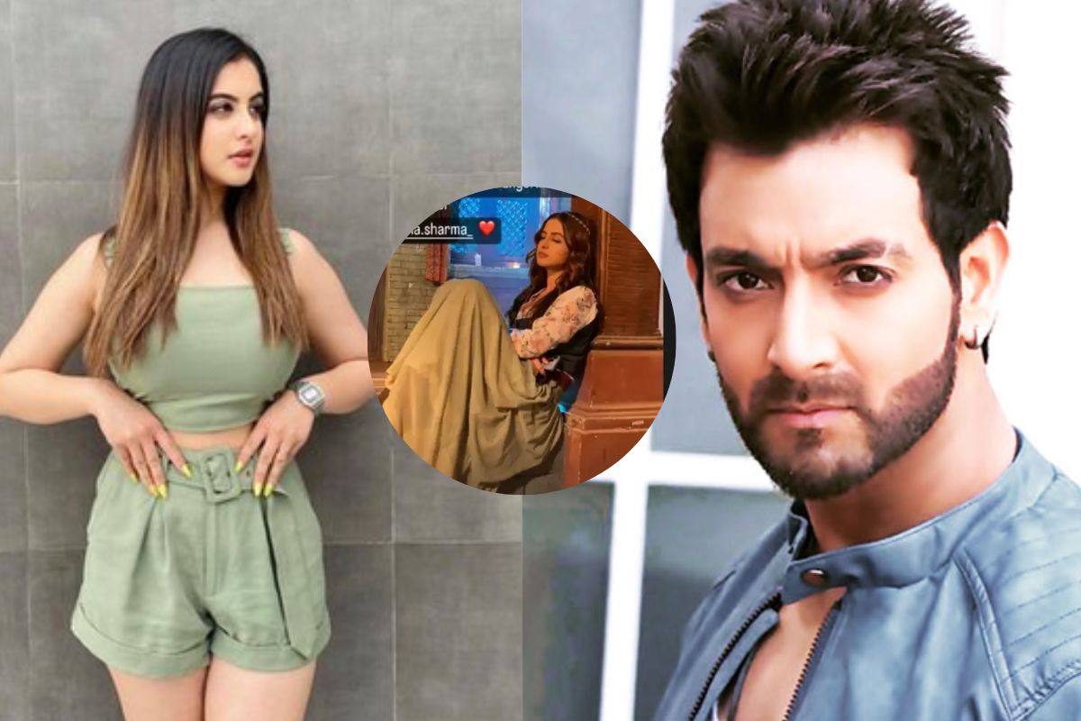 तुनिषा शर्मा- विनीत रैना