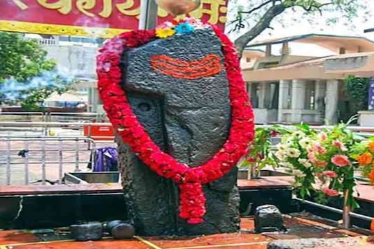 शनीदेव पूजा 
