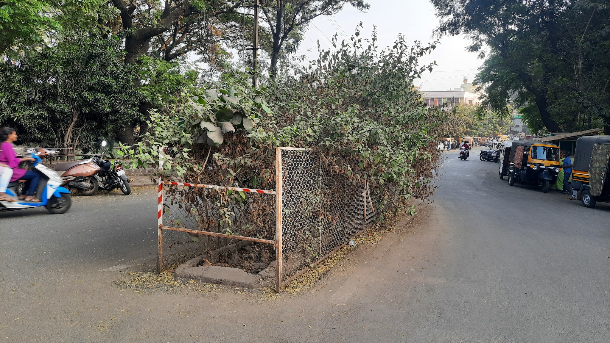 कोल्हापूर नव्हे बकालपूर, पाहा चांगल्या कल्पनेचा कसा झाला बट्याबोळ