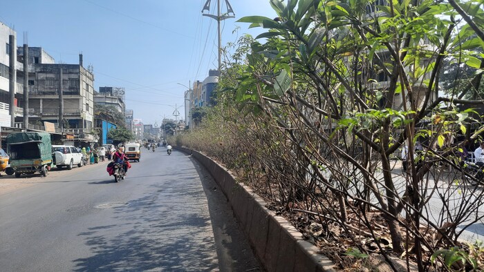 व्हिनस कॉर्नर ते स्टेशन रोड या रस्त्यावरील दुभाजकामध्ये गवताचे प्रमाण वाढले आहे. त्याचबरोबर या ठिकाणची झाडी भरपूर वाढली आहेत.