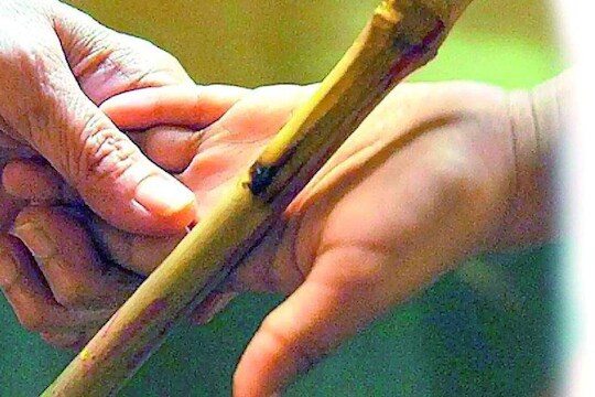 प्रातिनिधिक छायाचित्र 