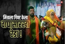 VIDEO: वाढदिवसाचं गिफ्ट म्हणून दिला रेडाच; अतरंगी मित्रांची बीडमध्ये तुफान चर्चा