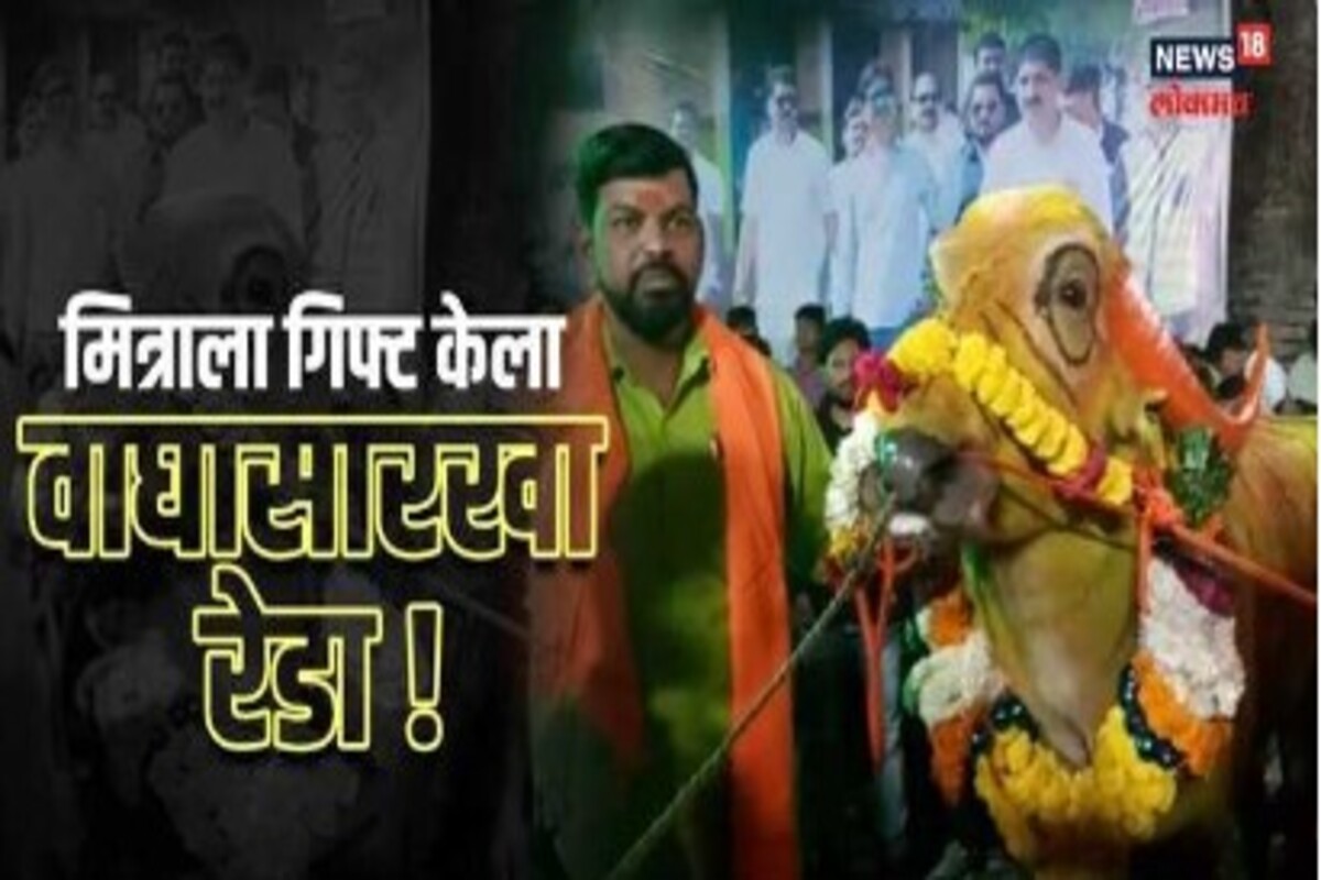 VIDEO : वाढदिवसाचं गिफ्ट म्हणून दिला रेडाच; अतरंगी मित्रांची बीडमध्ये तुफान चर्चा