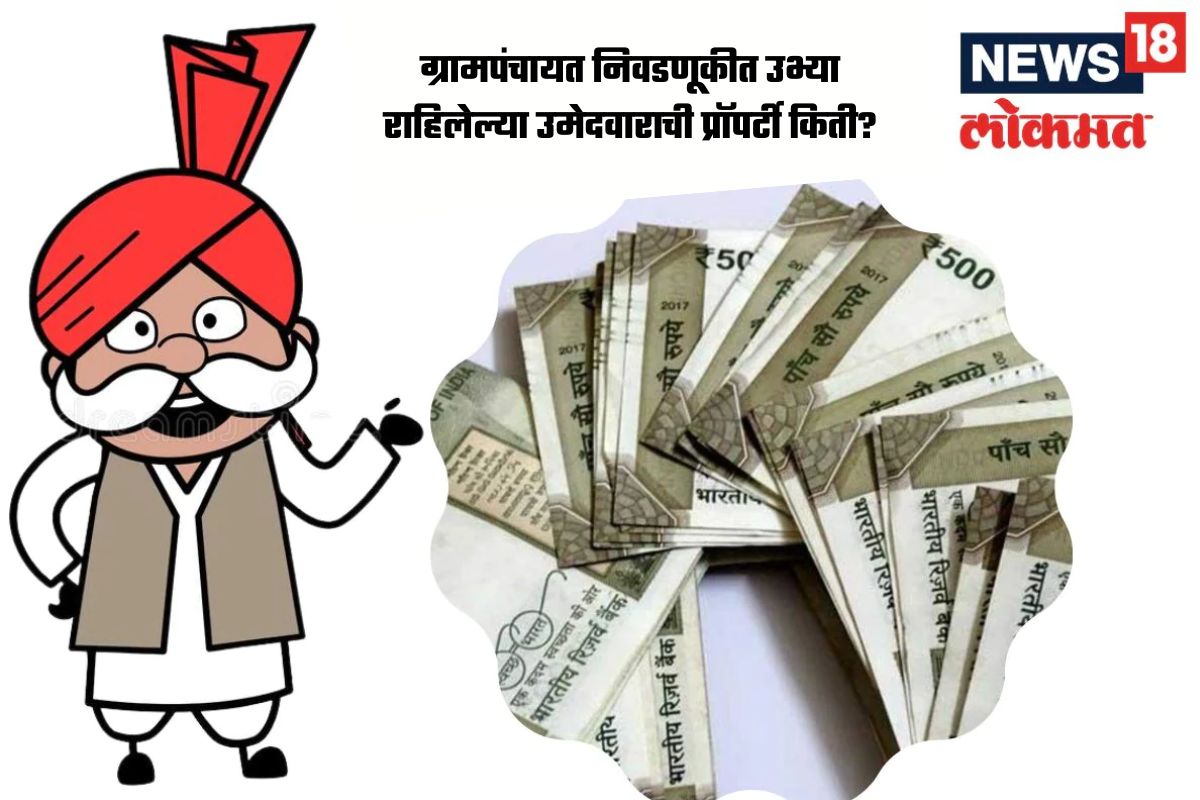 तुमच्या गावातील निवडणुकीसाठी उभ्या राहिलेल्या सरपंच आणि सदस्यांची प्रॉपर्टी किती आहे तुम्हा माहित आहे का?