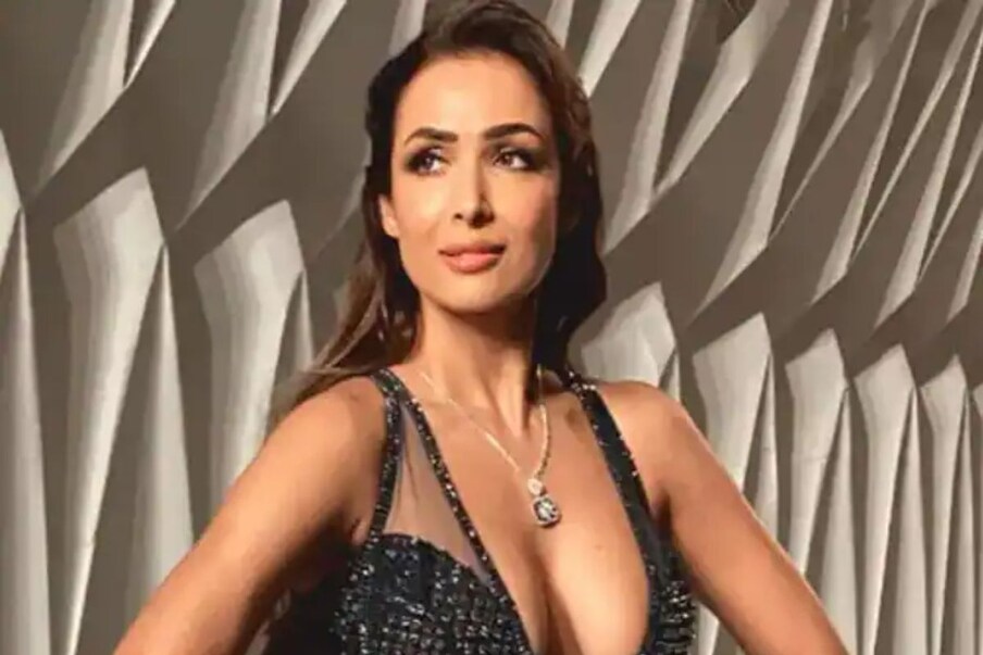 मलायका म्हणाली, मी अरबाज, जॉर्जिया आणि अरहानला त्यांच्या असले काही प्रश्न विचारत नाही. मला असे अपडेट घ्यायला आवडत नाही. 