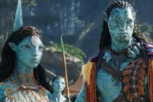 अवतार 2 सिनेमा पाहताना एका व्यक्तीचा मृत्यू अवतार 2 सिनेमा पाहताना एका व्यक्तीचा मृत्यू