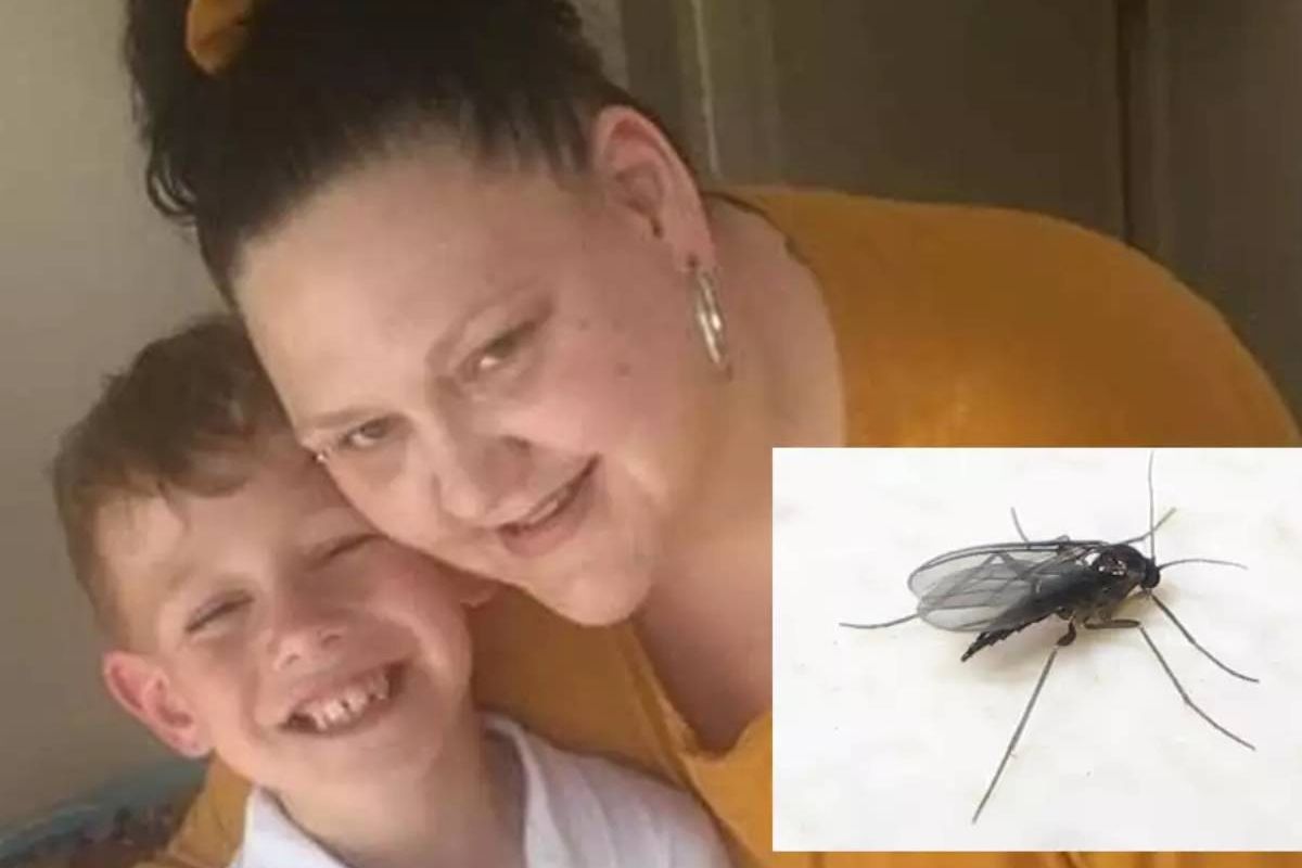 या एका छोट्याशा किड्यामुळे महिलेची 13 वर्ष मृत्यूशी झुंज; तुमच्याही आसपास असेल तर सावधान!