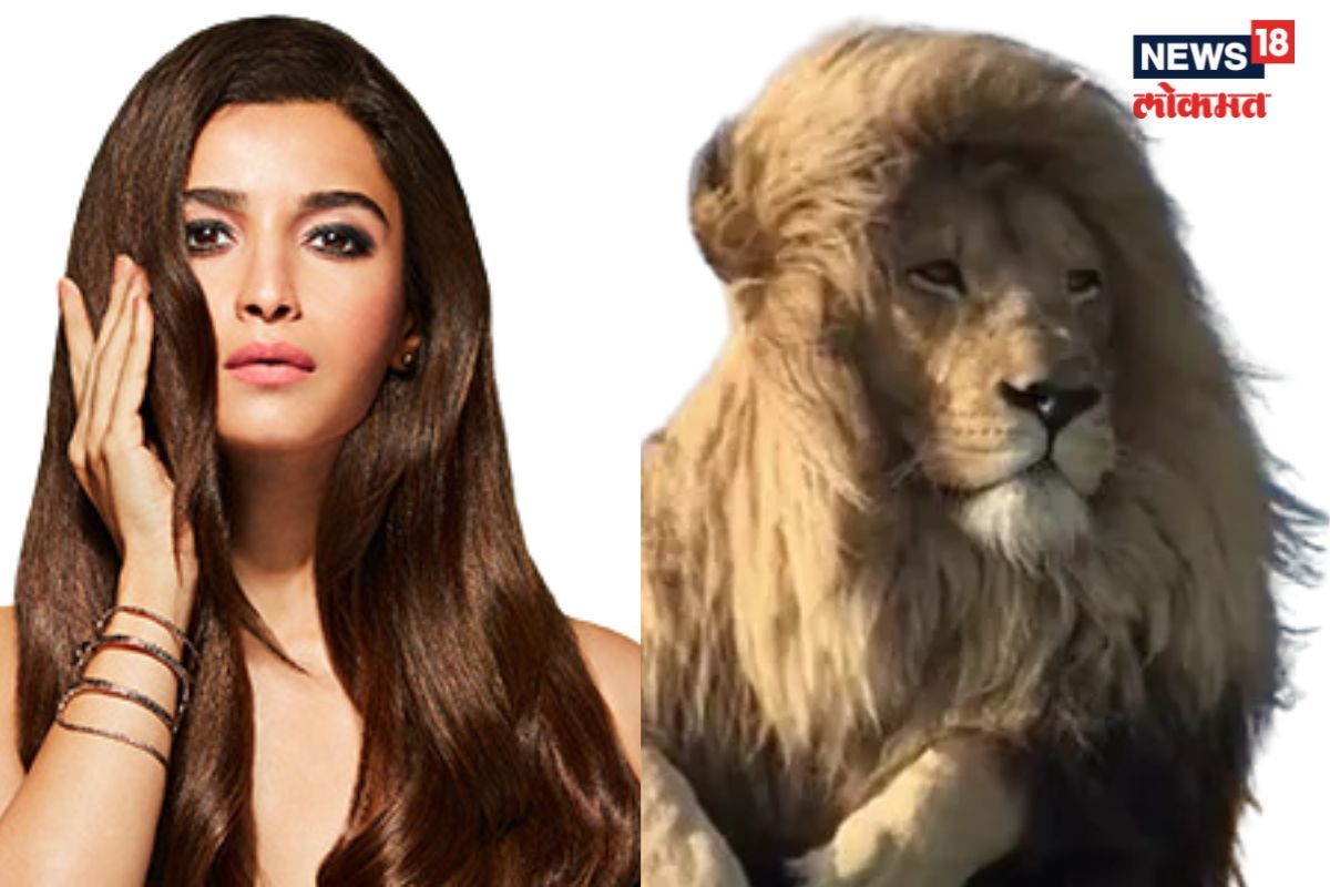 सिंहाचा व्हायरल व्हिडीओ