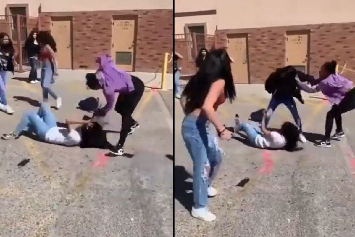 केसांना धरून जमिनीवर आपटत तरुणीची तिघींनी जबर मारहाण; घटनेचा Shocking Video