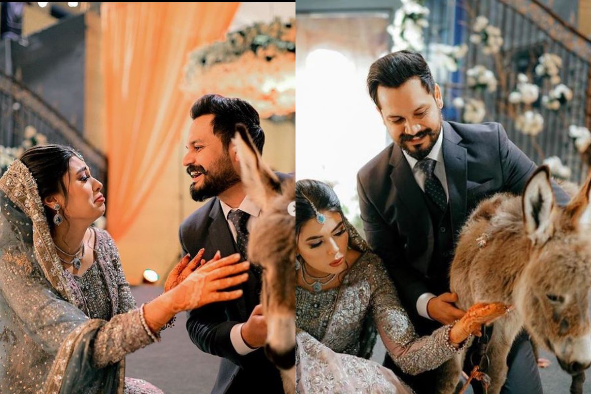 VIDEO: नवरदेवाने लग्नात नवरीला गिफ्ट दिलं गाढव; कारण ऐकून डोक्याला हात लावाल