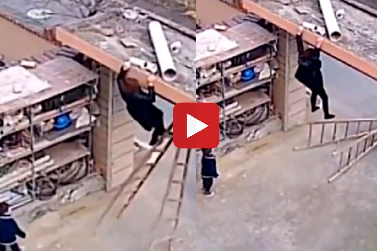 व्हायरल व्हिडीओ