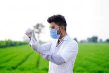 नक्की कोण असतात Agriculture Scientist? यात कसं करावं करिअर? इथे मिळेल माहिती नक्की कोण असतात Agriculture Scientist? यात कसं करावं करिअर? इथे मिळेल माहिती