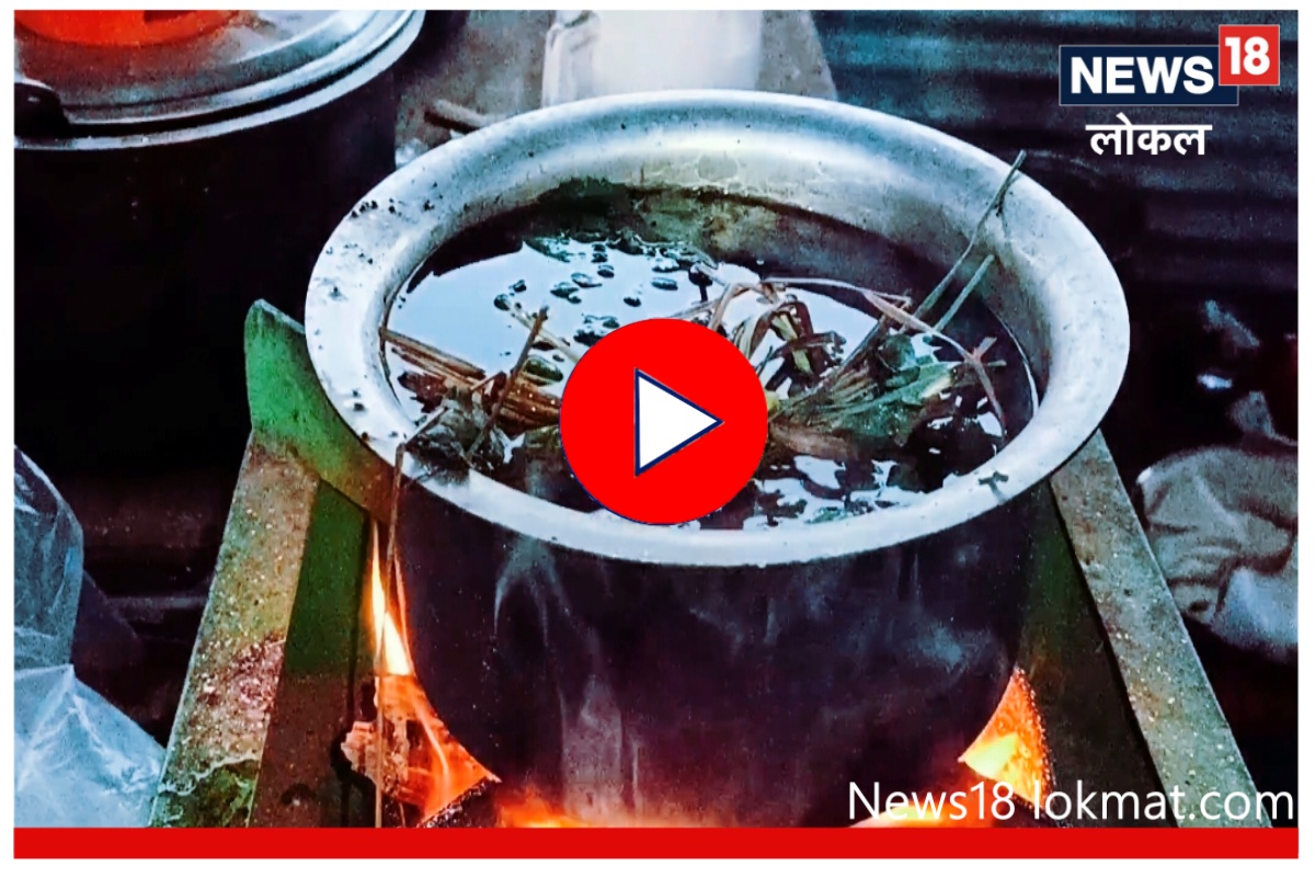 दुर्गम भागातील तरुणानं सुरू केला आयुर्वेदिक चहाचा व्यवसाय, इतरांसाठी बनला आदर्श, Video