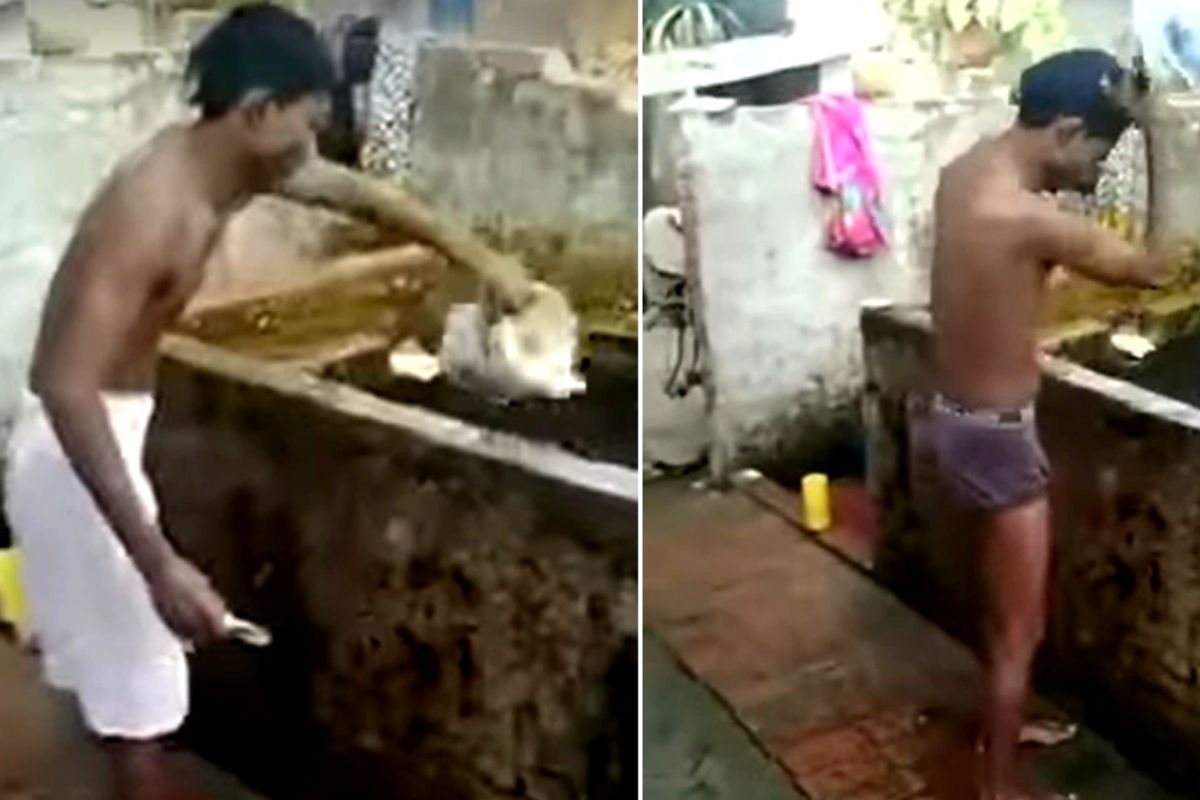 व्हायरल व्हिडीओ